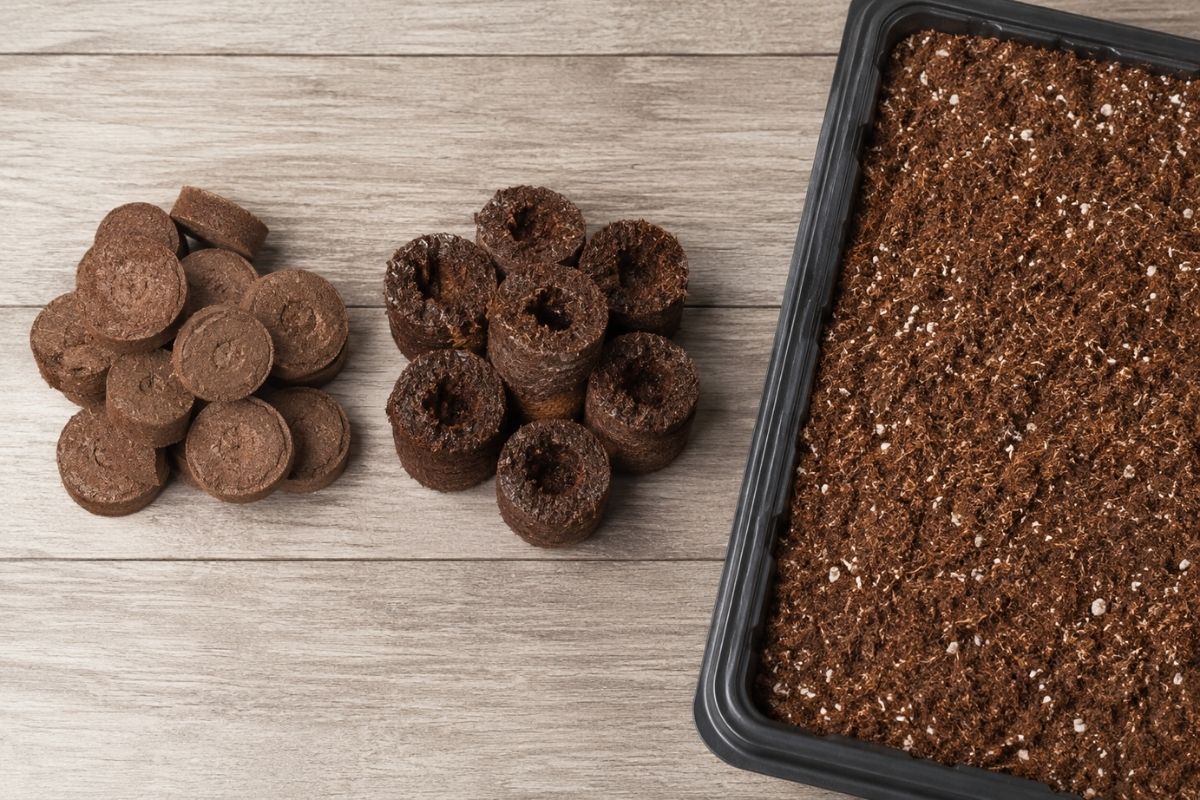 Dry and expanded coco coir pellets beside a seed tray filled with loose seed starting mix Dry and expanded coco coir pellets beside a seed tray filled with loose seed starting mix