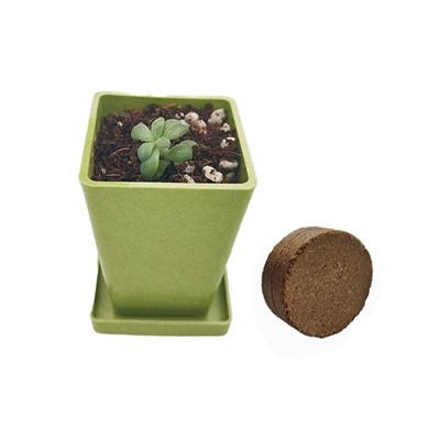 กระถางต้นไม้ไฟเบอร์ไม้ไผ่ทรงสี่เหลี่ยมขนาดเล็ก